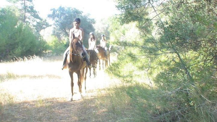 Hotel Apollon 2*